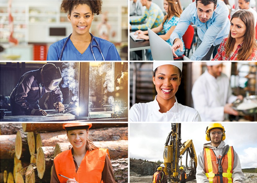 Formation professionnelle